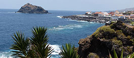 Palm Mar Arona Tenerife